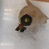 Vase d'expansion DACIA DUSTER 1 PHASE 1 Diesel image 1