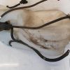 Vase de lave glace NISSAN QASHQAI 1 PHASE 1 Diesel image 3