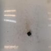 Bouton de warning PEUGEOT PARTNER 1 PHASE 2 Diesel image 3