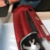 Calandre PEUGEOT PARTNER 1 PHASE 2 Diesel image 1
