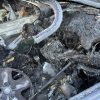 Feu arriere secondaire droit (feux) VOLKSWAGEN GOLF 6 Diesel image 6