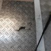 Bras essuie glace avant droit VOLKSWAGEN GOLF 5 Essence image 1
