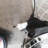 Serrure avant gauche PEUGEOT 407 PHASE 1 Diesel image 2