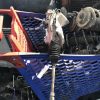 Cremaillere assistee CITROEN C4 2 PHASE 1 Essence image 2