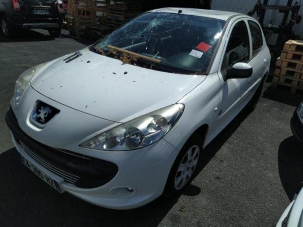 Porte arriere droit PEUGEOT 206+ Essence image 3