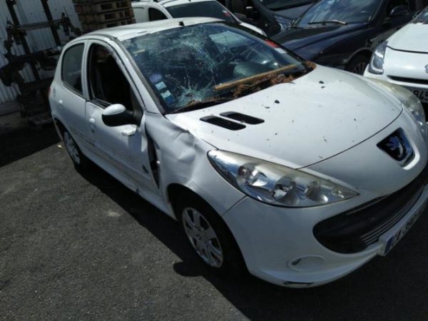 Porte arriere droit PEUGEOT 206+ Essence image 5