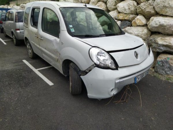 Afficheur RENAULT KANGOO 2 PHASE 1 Diesel image 4