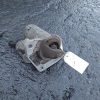 Demarreur CITROEN C3 2 PHASE 2 Essence image 3