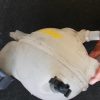Vase d'expansion CITROEN C4 2 PHASE 1 Diesel image 2