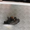 Anti brouillard gauche (feux) VOLKSWAGEN PASSAT 5 BREAK Diesel image 3