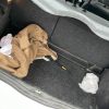 Retroviseur droit RENAULT CLIO 2 PHASE 2 Essence image 10