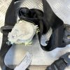 Ceinture arriere droit PEUGEOT 5008 1 PHASE 1 Diesel image 2