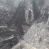 Capot RENAULT CLIO 3 PHASE 2 Diesel image 6