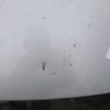 Malle/Hayon arriere RENAULT MEGANE 4 PHASE 1 Diesel image 3