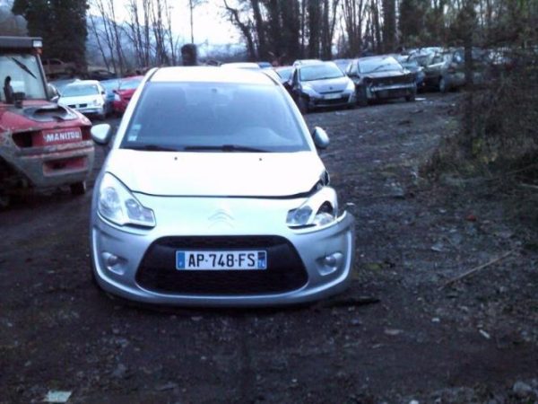 Custode avant gauche (porte) CITROEN C3 2 PHASE 1 Diesel image 2