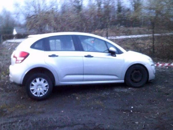 Custode avant gauche (porte) CITROEN C3 2 PHASE 1 Diesel image 3