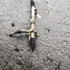 Cremaillere assistee PEUGEOT EXPERT 2 Diesel image 1