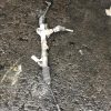 Cremaillere assistee PEUGEOT EXPERT 2 Diesel image 2