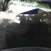 Capot SEAT LEON 2 PHASE 1 Diesel image 2