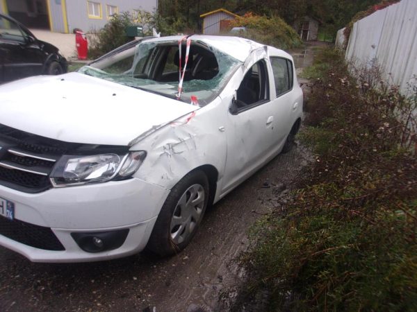 Leve vitre electrique avant droit DACIA SANDERO 2 PHASE 1 Essence image 4