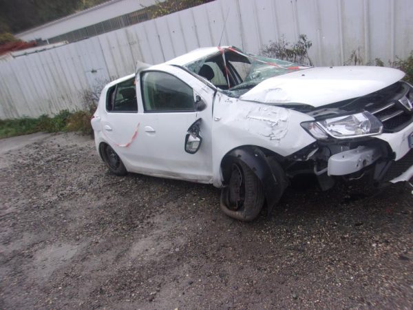 Leve vitre mecanique arriere gauche DACIA SANDERO 2 PHASE 1 Essence image 2