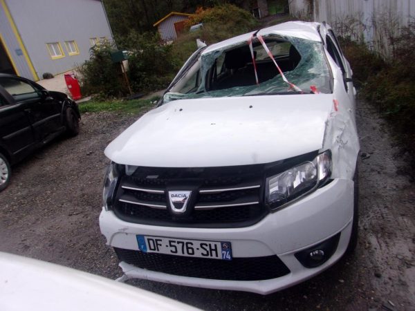 Leve vitre mecanique arriere gauche DACIA SANDERO 2 PHASE 1 Essence image 6