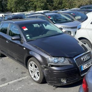 Porte avant gauche AUDI A3 2 SPORTBACK PHASE 1 Diesel image 1