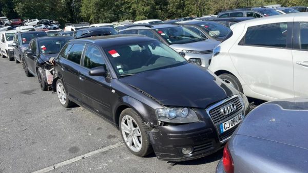 Porte avant droit AUDI A3 2 SPORTBACK PHASE 1 Diesel image 1