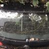Malle/Hayon arriere VOLKSWAGEN GOLF 5 Diesel image 1