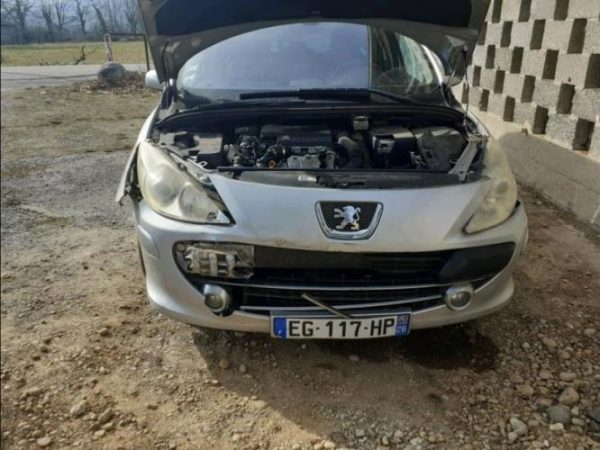 Malle/Hayon arriere PEUGEOT 307 PHASE 2 BREAK Diesel image 2