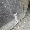 Porte avant droit SEAT IBIZA 4 PHASE 1 Essence image 6
