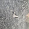 Porte avant droit SEAT IBIZA 4 PHASE 1 Essence image 7