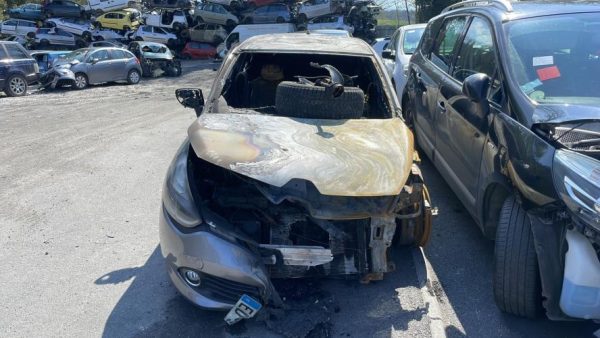 Platine feu arriere gauche RENAULT CLIO 4 PHASE 1 Diesel image 3