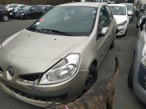 Afficheur RENAULT CLIO 3 PHASE 1 Diesel image 4