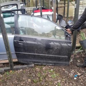 Porte avant droit VOLKSWAGEN POLO 4 PHASE 1 Essence image 1
