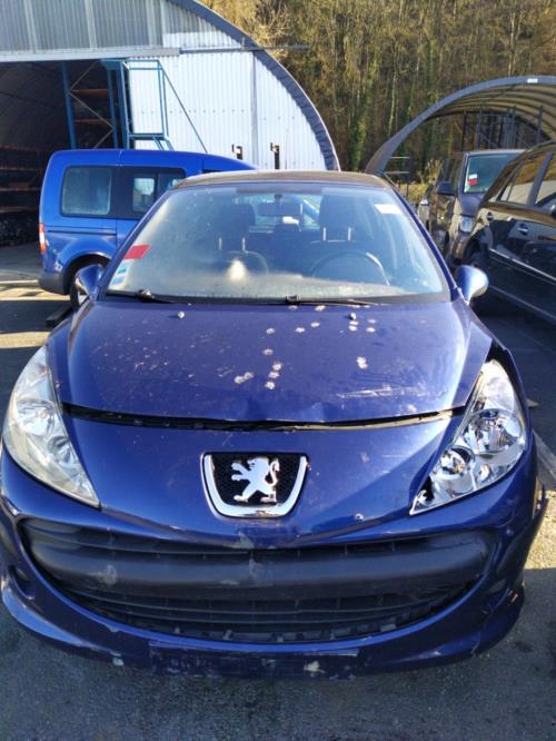 Porte arriere gauche PEUGEOT 207 PHASE 1 Diesel image 4