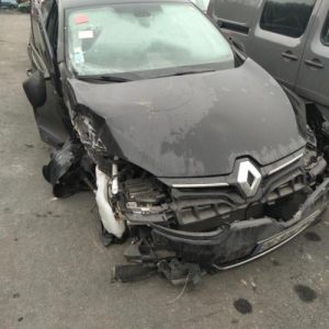 Porte arriere gauche RENAULT MEGANE 3 PHASE 3 BREAK Diesel image 1