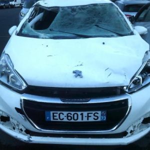 Cremaillere assistee PEUGEOT 208 1 PHASE 2 Diesel image 1