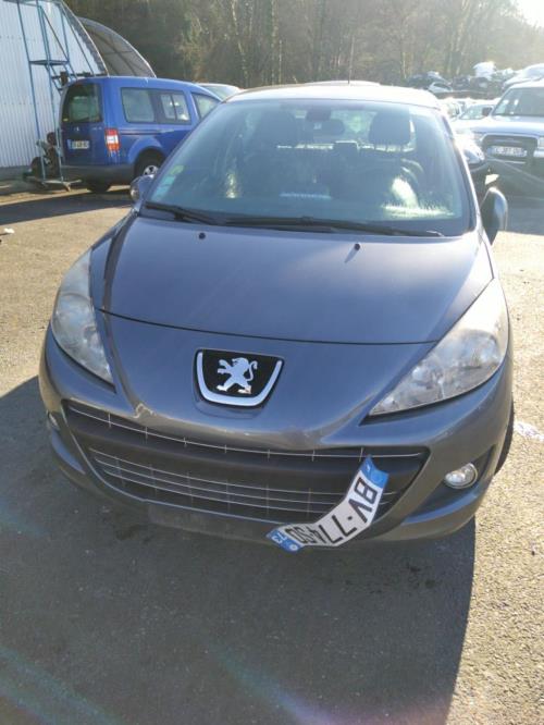 Neiman PEUGEOT 207 PHASE 2 Diesel image 2