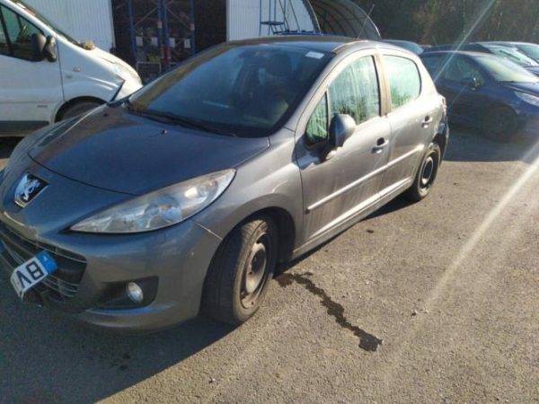 Neiman PEUGEOT 207 PHASE 2 Diesel image 3