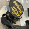 Ceinture arriere gauche RENAULT MEGANE 3 PHASE 1 Diesel image 1