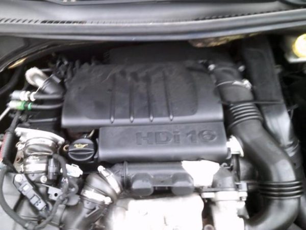 Custode avant gauche (porte) PEUGEOT 207 PHASE 1 CABRIOLET Diesel image 6