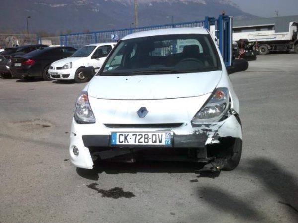 Pedalier d'accelerateur RENAULT CLIO 3 PHASE 2 Diesel image 2