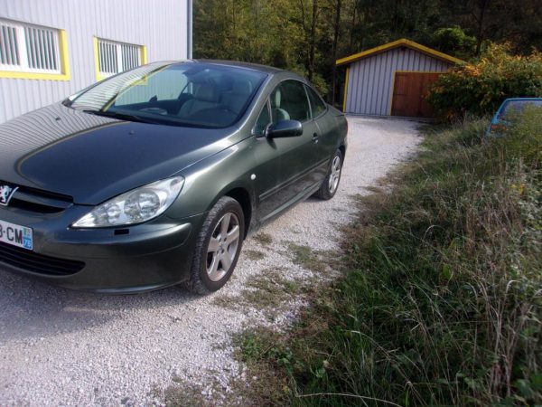 Vitre arriere gauche PEUGEOT 307 PHASE 1 CABRIOLET Essence image 4