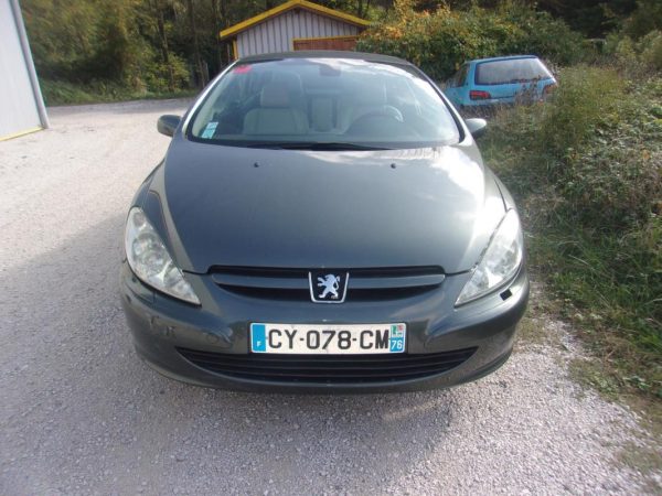 Vitre arriere gauche PEUGEOT 307 PHASE 1 CABRIOLET Essence image 6