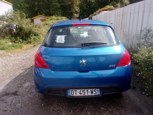 Bouton de warning PEUGEOT 308 1 PHASE 1 Diesel image 5