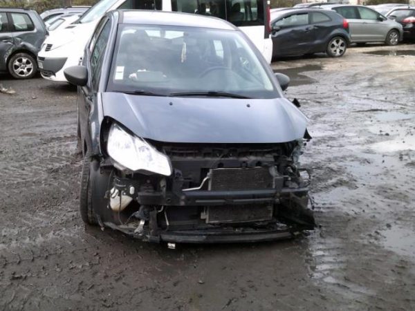 Porte arriere gauche CITROEN C3 2 PHASE 1 Diesel image 2