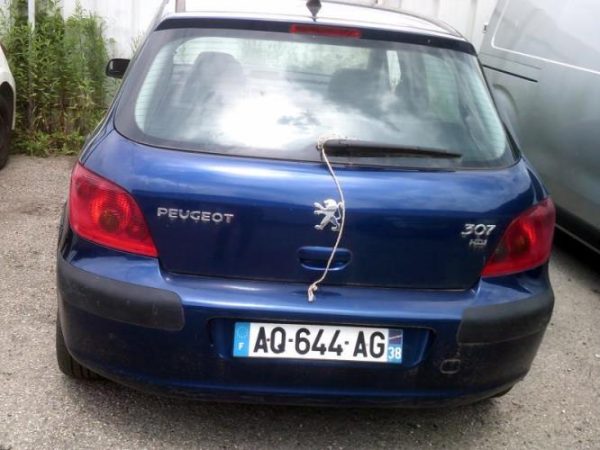 Bloc ABS (freins anti-blocage) PEUGEOT 307 PHASE 1 Diesel image 3