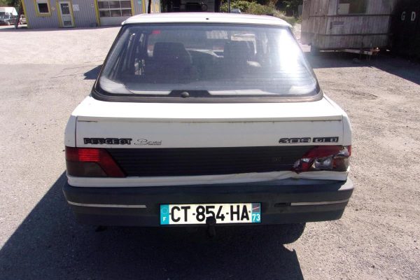 Porte arriere gauche PEUGEOT 309 PHASE 2 Diesel image 5