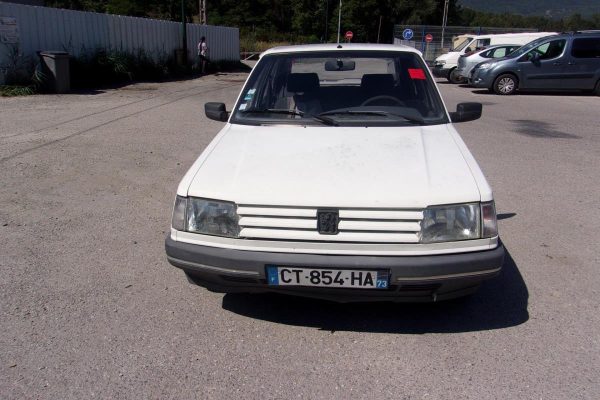 Porte arriere gauche PEUGEOT 309 PHASE 2 Diesel image 6